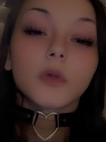 AllyTheCat